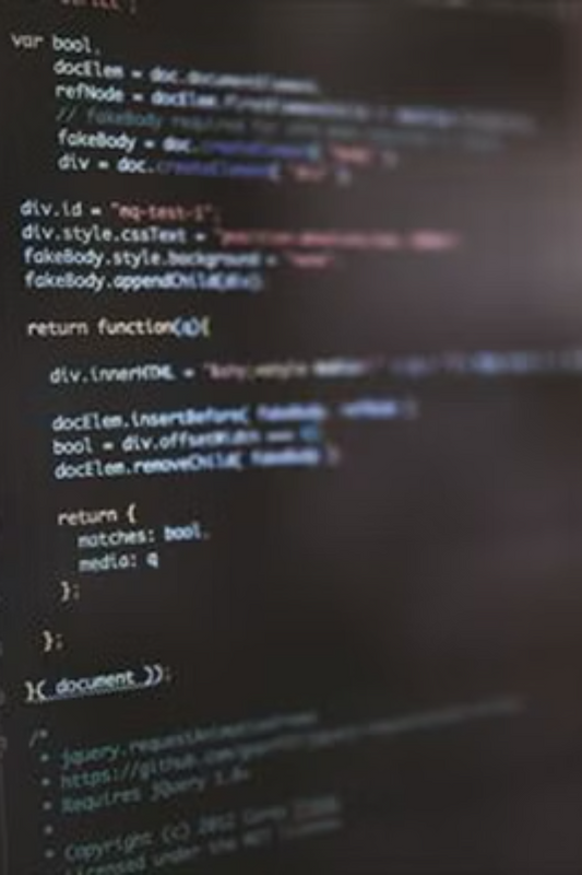 Preencoded 【基本リモート*VBA】給与計算支援システムの開発運用